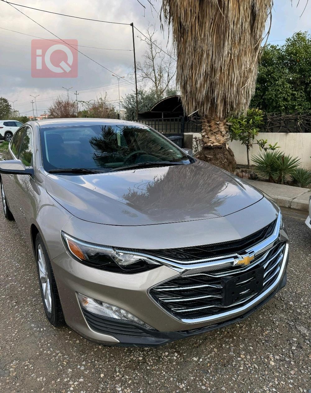 شيفروليه ماليبو